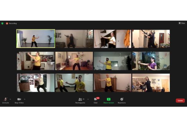 A view of a Zoom meeting with multiple people doing tai chi