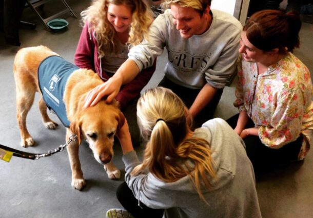 Student Wellbeing Pet Therapy